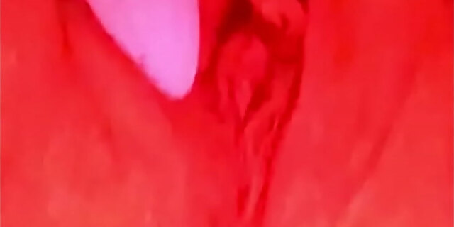 pussy